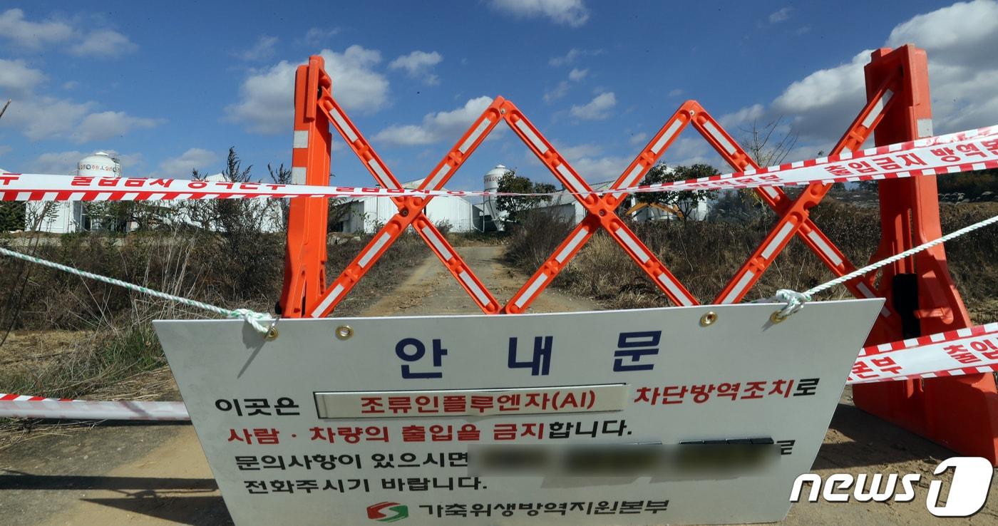 조류인ㅍㄹ루엔자 자료사진 ⓒ News1 장수영 기자