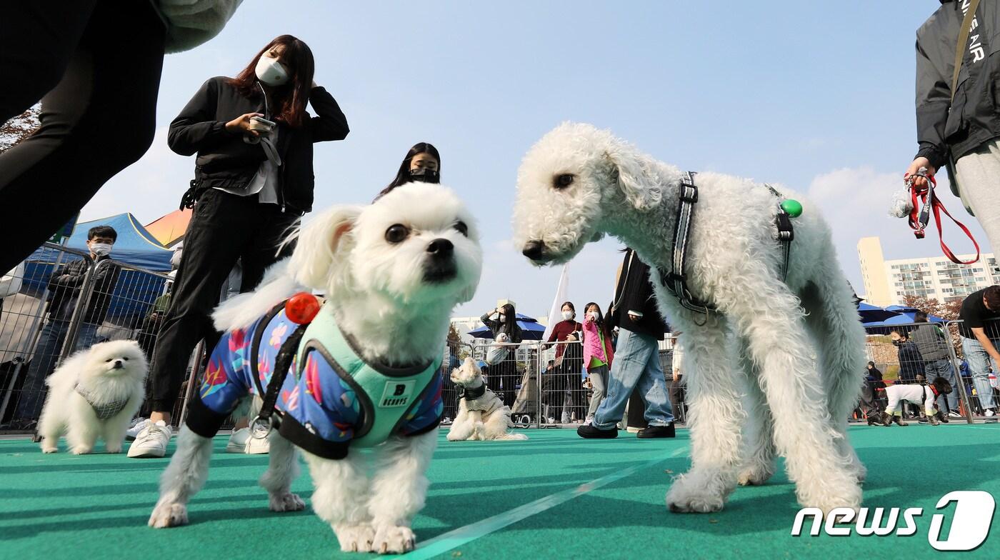 (사진은 기사 내용과 무관함) / 뉴스1 ⓒ News1