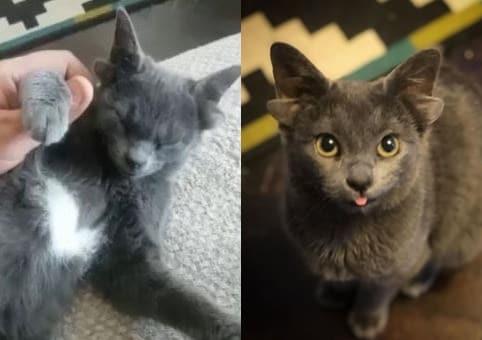 본문 이미지 - (인스타그램 갈무리) ⓒ 뉴스1