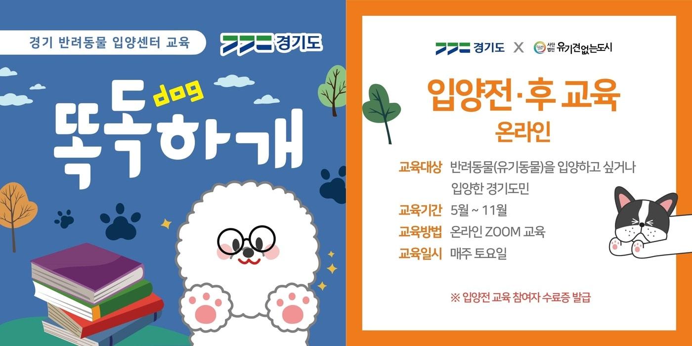 본문 이미지 - 경기 반려동물 입양센터 교육 '똑독하개' 포스터 ⓒ 뉴스1