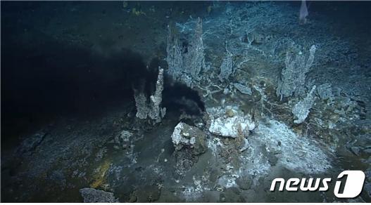 본문 이미지 - 열수분출공 온바다(한국해양과학기술원 제공)ⓒ 뉴스1