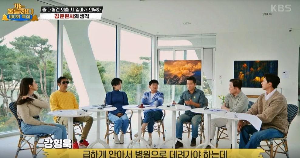 본문 이미지 - KBS2 '개는 훌륭하다' 방송 갈무리 ⓒ 뉴스1