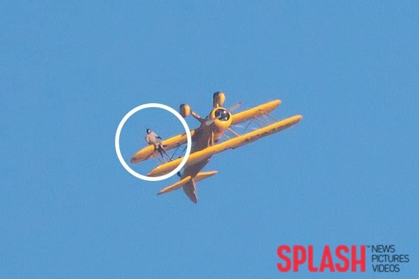 본문 이미지 - 톰 크루즈/ 사진제공=Splash News ⓒ 뉴스1