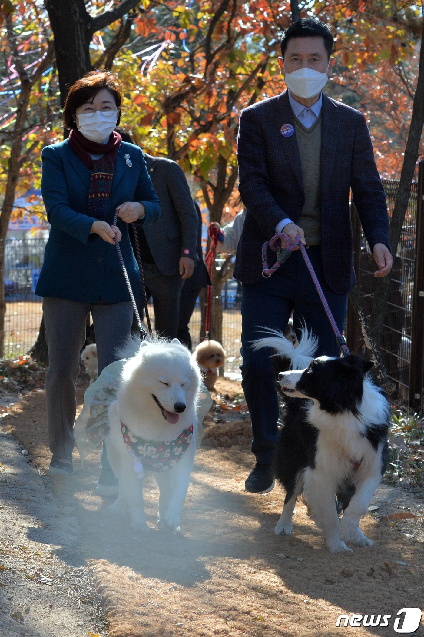 본문 이미지 - 이강덕 경북 포항시장과 김정재 국민의힘(포항·북) 의원이  남구 오천읍 문덕리 포항반려동물테마공원에서 강아지들과 함께 산책하고있는 모습. 뉴스1 자료, 재판매 및 DB금지)ⓒ News1 최창호 기자