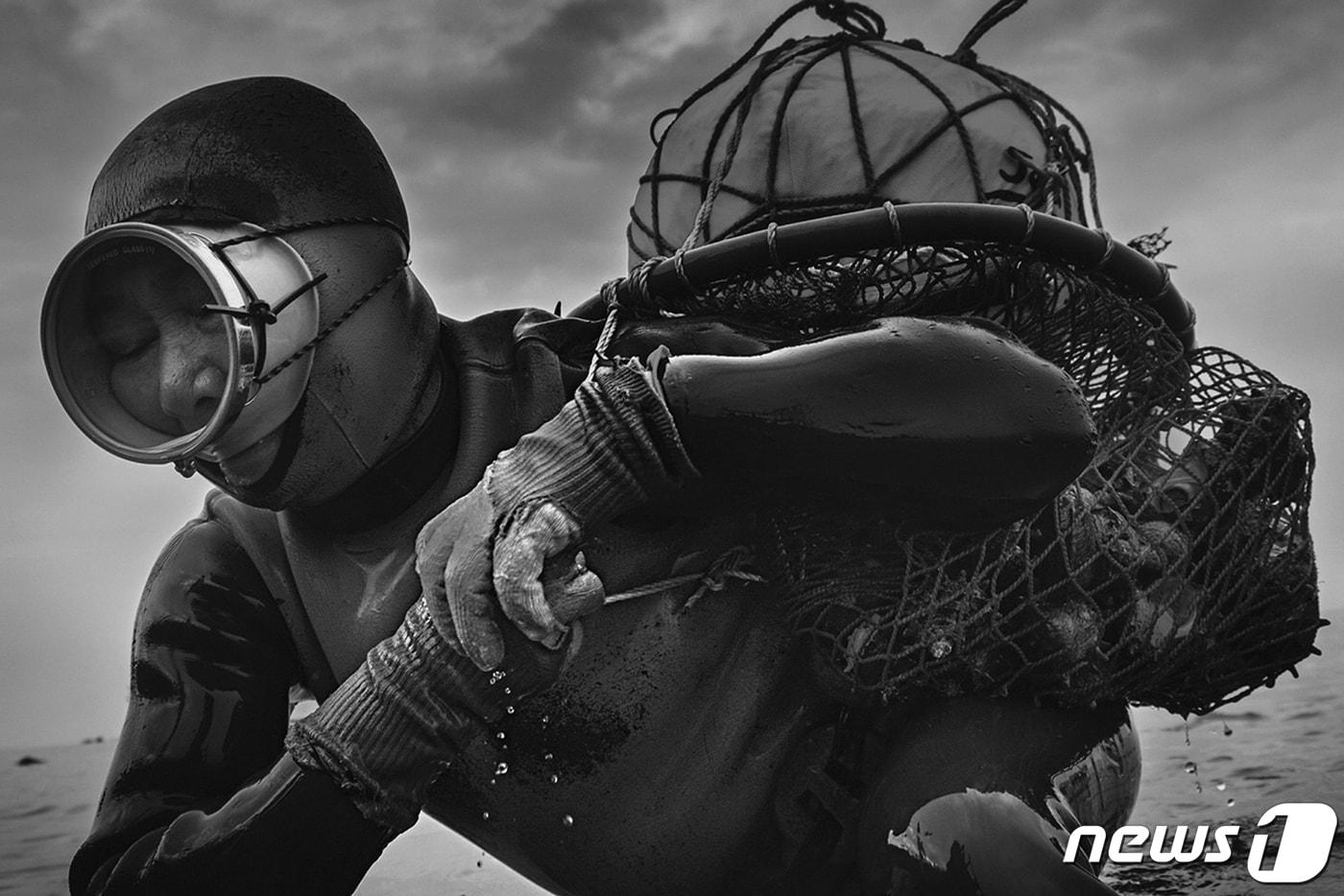 디지털 패브릭 패널 제주해녀 사진전 작품(양종훈 교수 제공)ⓒ 뉴스1