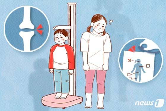 본문 이미지 - ⓒ News1 윤주희 디자이너