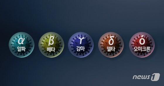 본문 이미지 - 세계보건기구&#40;WHO&#41;,는 2021년 11월26일 코로나19 새 변이 오미크론을 다섯 번째 우려 변이로 지정했다. ⓒ News1 윤주희 디자이너