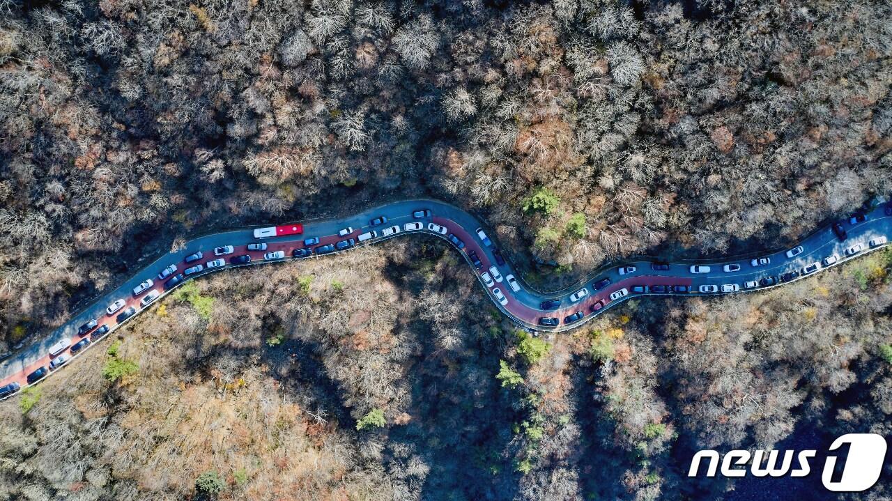 본문 이미지 -  전남 구례군 지리산 노고단 성삼재 주차장 인근 (독자 제공) 2021.11.6/뉴스1 ⓒ News1 이수민 기자