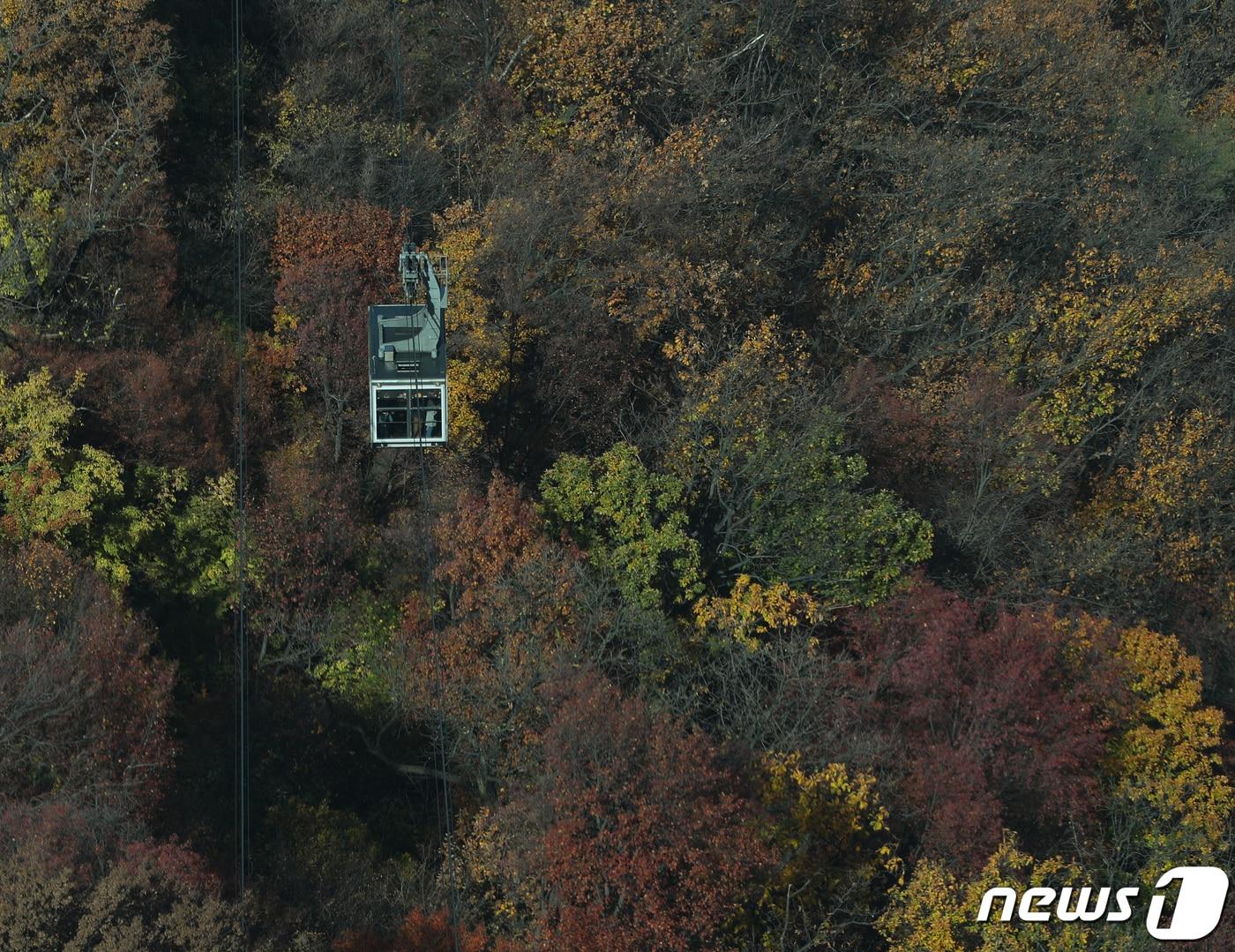 본문 이미지 - 운행 중인 남산 케이블카. ⓒ News1 신웅수 기자