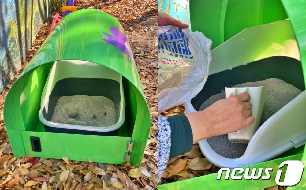 본문 이미지 - 서대문구길고양이동행본부는 서대문구와 협약을 맺고 공공화장실 등을 관리하기로 했다. (서동행 제공) ⓒ 뉴스1