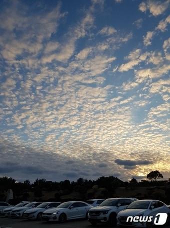 본문 이미지 - 지난 14일 오후 5시19분 제주도 서남서쪽 41㎞ 지점에서 4.9 규모의 지진이 발생한 가운데 지진 발생전인 오후 5시 6분쯤 제주 서귀포시 제주국제컨벤션센터 주차장에서 촬영한 제주상공에 뜬 양떼 모양의 지진운. 지진운은 지진 발생의 전조현상으로 알려져 있지만 과학적 근거는 부족해 정설로 인정되지 않는다.(독자제공) ⓒ 뉴스1 강승남 기자