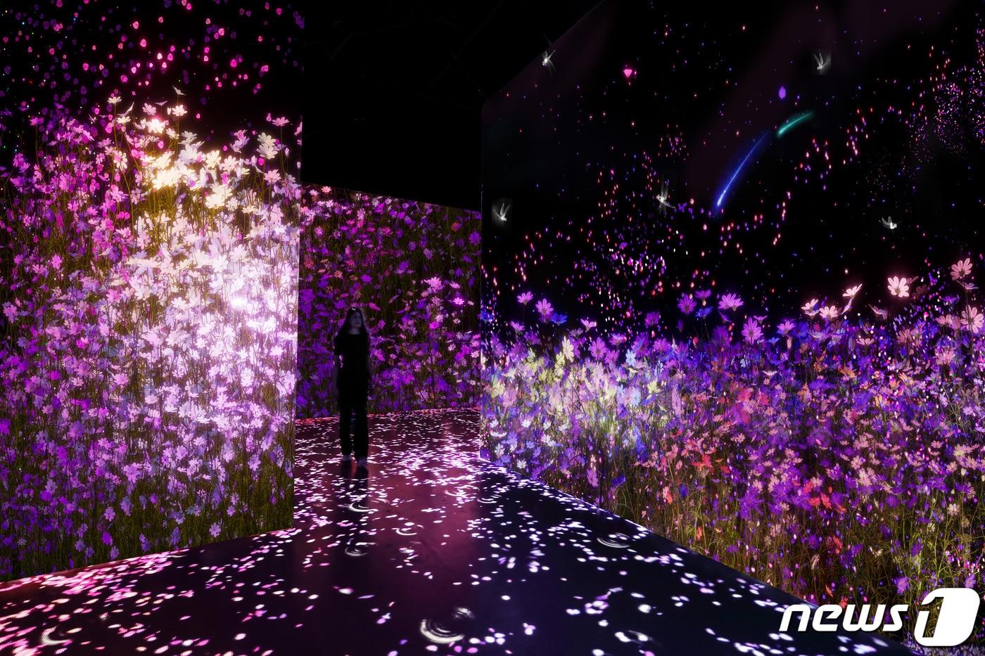 본문 이미지 - 아르떼뮤지엄강릉 플라워.(뉴스1 DB)