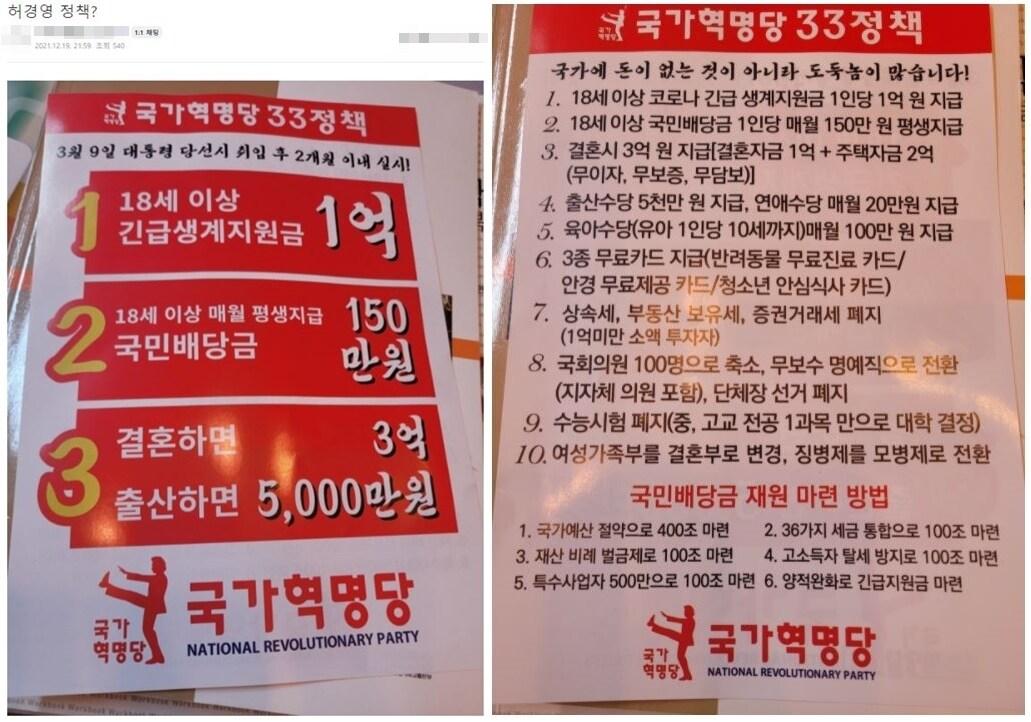 본문 이미지 - 지난 주말 경기도 분당 인근 아파트에 배포된 국가혁명당 측의 정책 홍보 포스터. (네이버 카페 갈무리) ⓒ 뉴스1