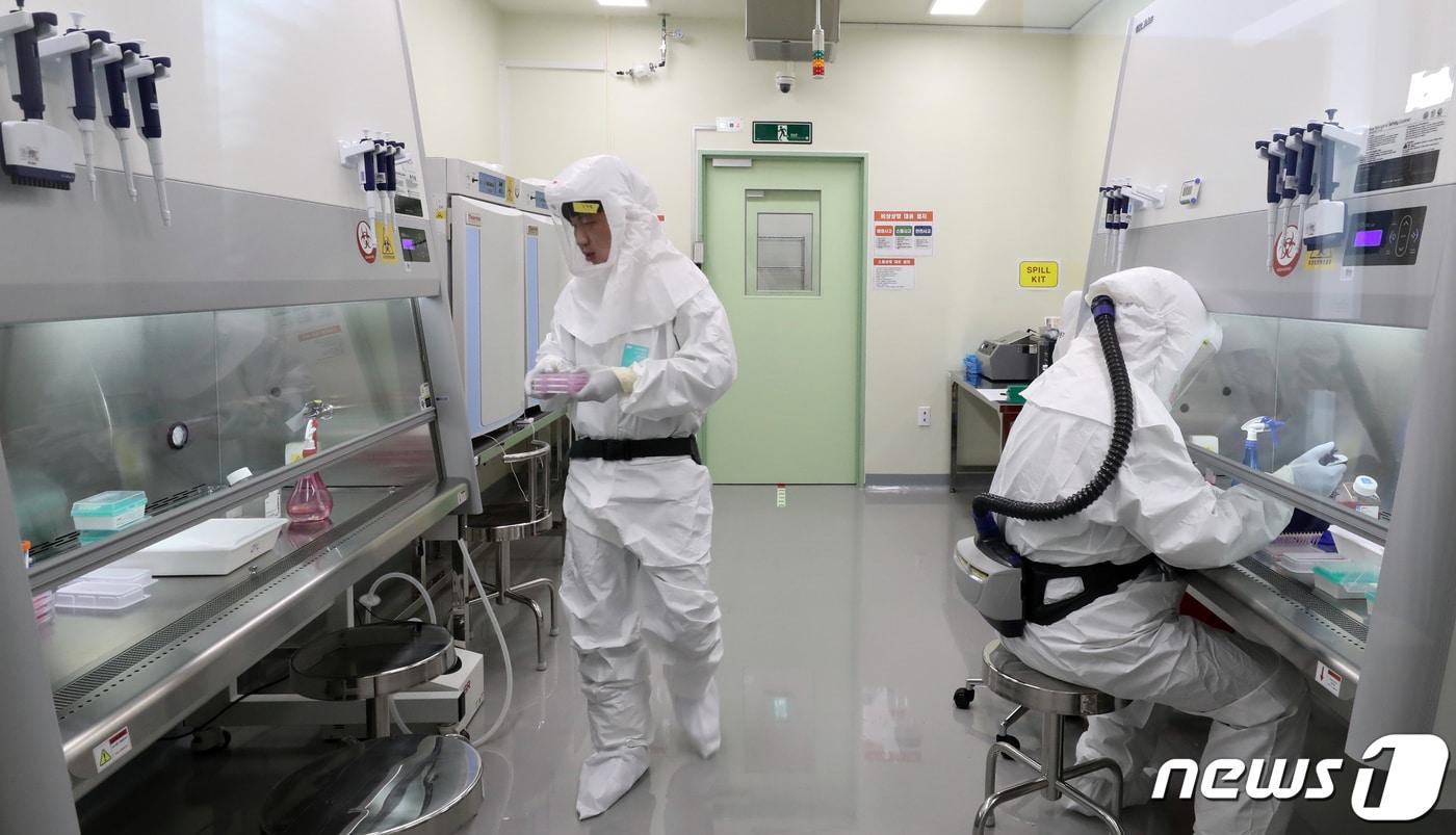 지난 2021년 12월 21일 질병관리청 연구원들이 충북 청주시 질병청 공공백신개발지원센터 생물안전 3등급 실험실에서 코로나19 백신 임상시험 효능평가 분석을 위해 일반세포의 바이러스 감염 및 백신의 효능 등을 분석하는 임상시험검체 분석시험을 수행하고 있다. /뉴스1 ⓒ News1 장수영 기자