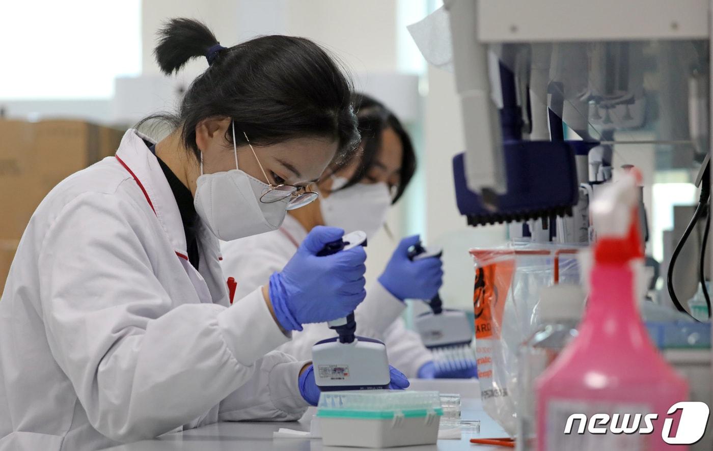 (사진은 기사 내용과 무관함) / 뉴스1 ⓒ News1