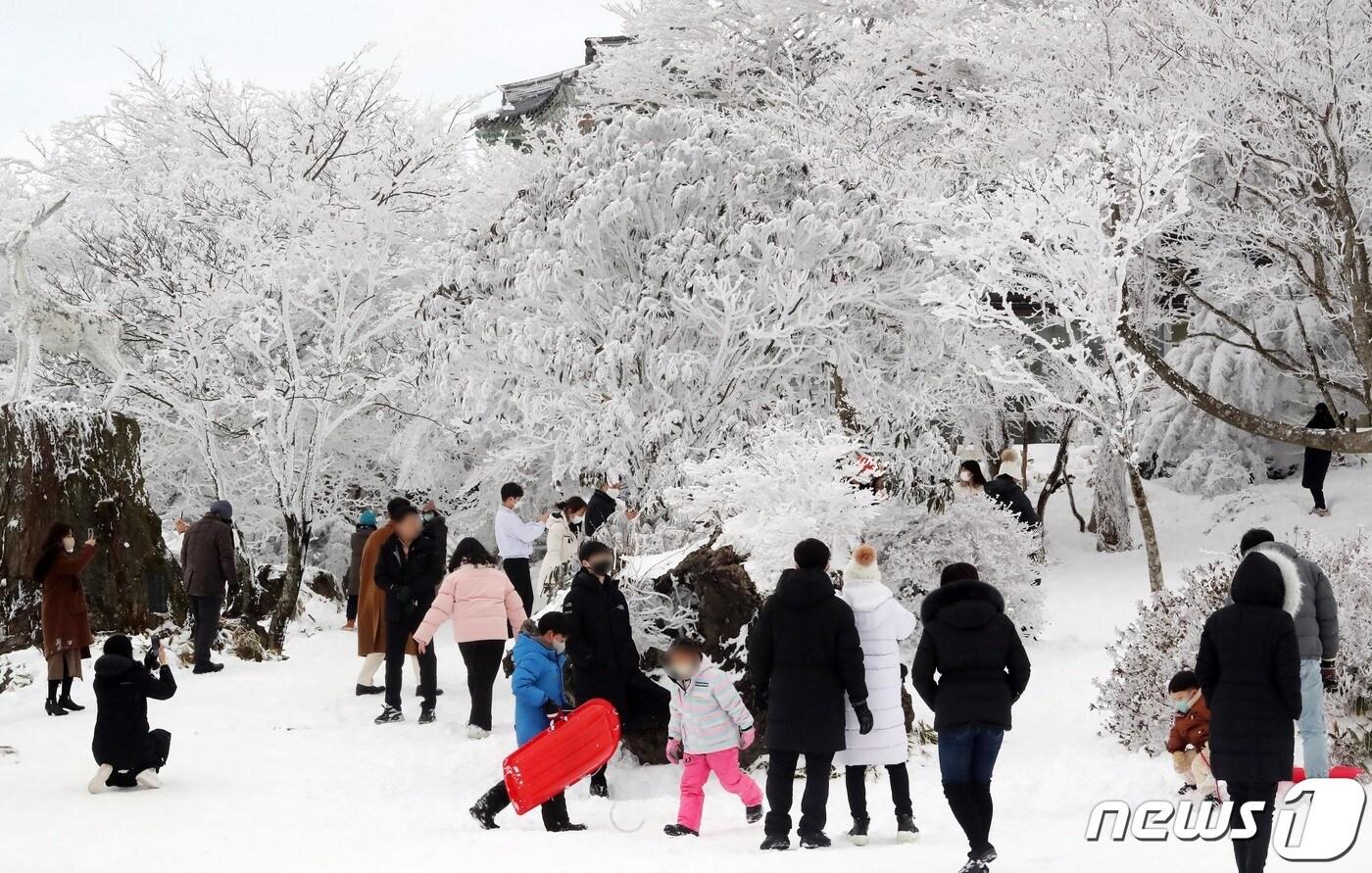 제주도는 도내 숙박시설이 신종 코로나바이러스감염증(코로나19) 이전과 비교해 567곳 늘고, 객실수도 3500실 증가했다고 20일 밝혔다. 제주 한라산 1100고지에서 도민과 관광객들이 겨울 정취를 즐기고 있다. 2021.12.28/뉴스1 ⓒ News1 오현지 기자