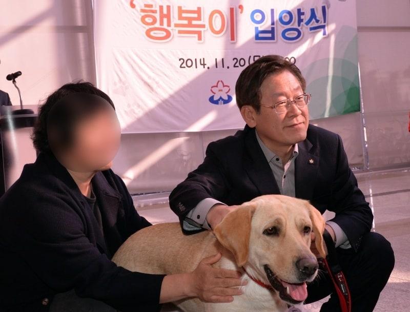 본문 이미지 - 성남시에서 2014년 입양한 개, 행복이(성남시 제공) ⓒ 뉴스1