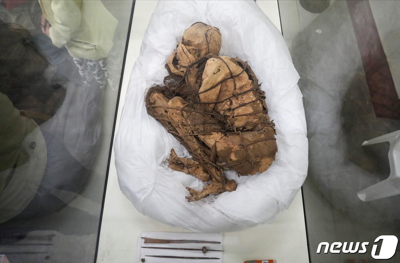 본문 이미지 - 지난 7일(현지시간) 산 마르코스 대학에 전시된 페루 미라. ⓒ 로이터=뉴스1 ⓒ News1 김지현 기자