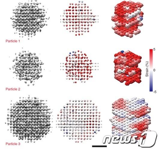 본문 이미지 - 3D 싱글 알고리즘을 활용해 얻은 백금 나노입자의 3차원 구조(사진제공:IBS)ⓒ 뉴스1