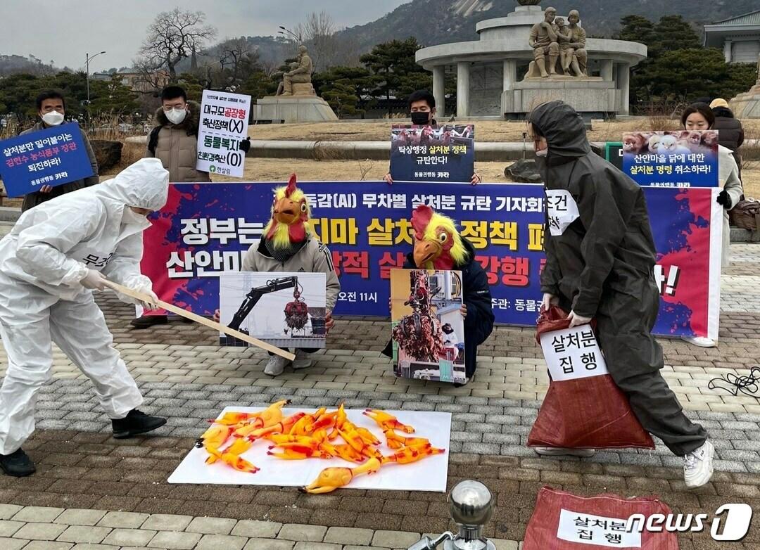 본문 이미지 - 동물권행동 카라 등 단체들은 10일 서울 종로구 청와대 앞에서 산안마을 닭들에 대한 예방적 살처분 강행 중단을 촉구하는 기자회견을 열었다. 사진 카라 제공 ⓒ 뉴스1