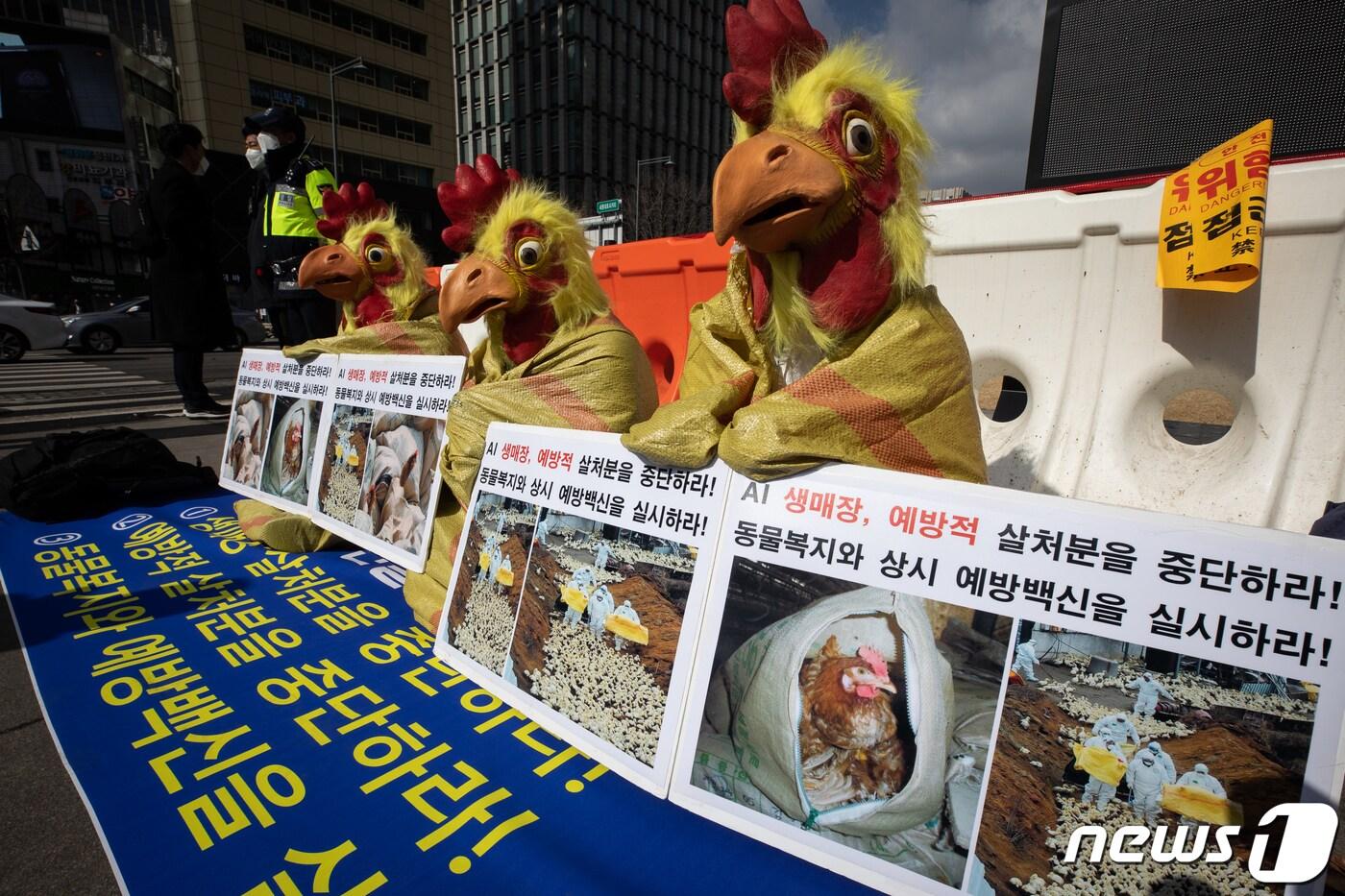 본문 이미지 - 한국동물보호연합회 등 동물보호단체 회원들이 15일 서울 광화문광장에서 기자회견을 열고 조류인플루엔자(AI) 관련 '생매장' 및 '예방적' 살처분 중단과 동물복지, 예방백신 실시를 촉구하는 퍼포먼스를 펼치고 있다. 2021.2.15/뉴스1 ⓒ News1 유승관 기자