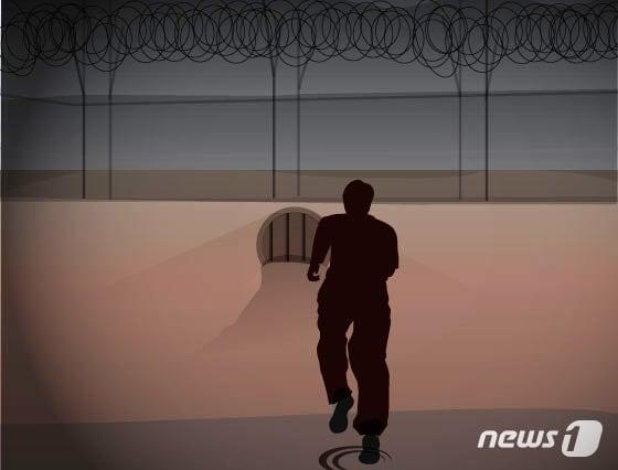 본문 이미지 - ⓒ News1 김일환 디자이너