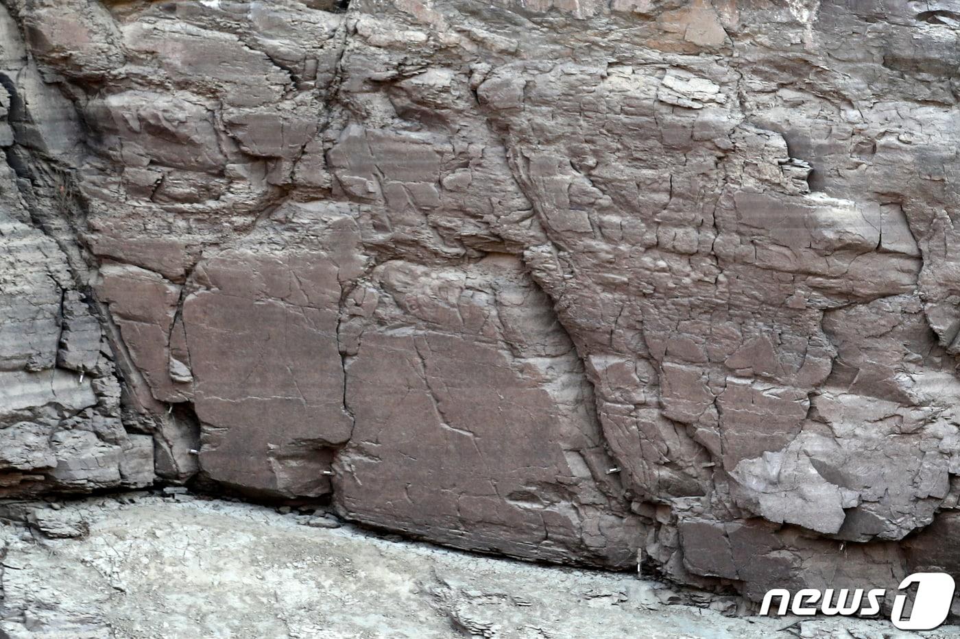울산시 울주군 언양읍 대곡리에 위치한 국보 제285호 반구대 암각화. 2021.2.17/뉴스1 ⓒ News1 윤일지 기자
