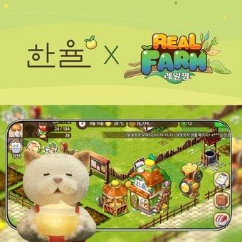 본문 이미지 - ⓒ 뉴스1