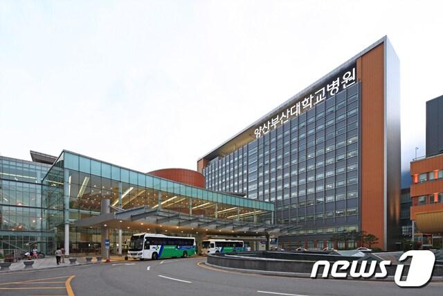 본문 이미지 - 양산부산대학교병원이 보건복지부가 주관하는 공공보건의료 협력체계 구축사업 중 '지역책임 의료기관 공모사업'에 최종 선정됐다. 사진은 양산부산대병원 전경. (경남도 제공) ⓒ 뉴스1