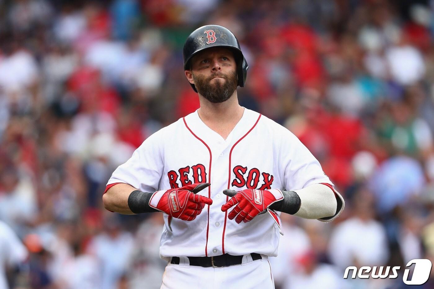 본문 이미지 - 보스턴 레드삭스 내야수 더스틴 페드로이아가 현역 은퇴를 선언했다. ⓒ AFP=뉴스1