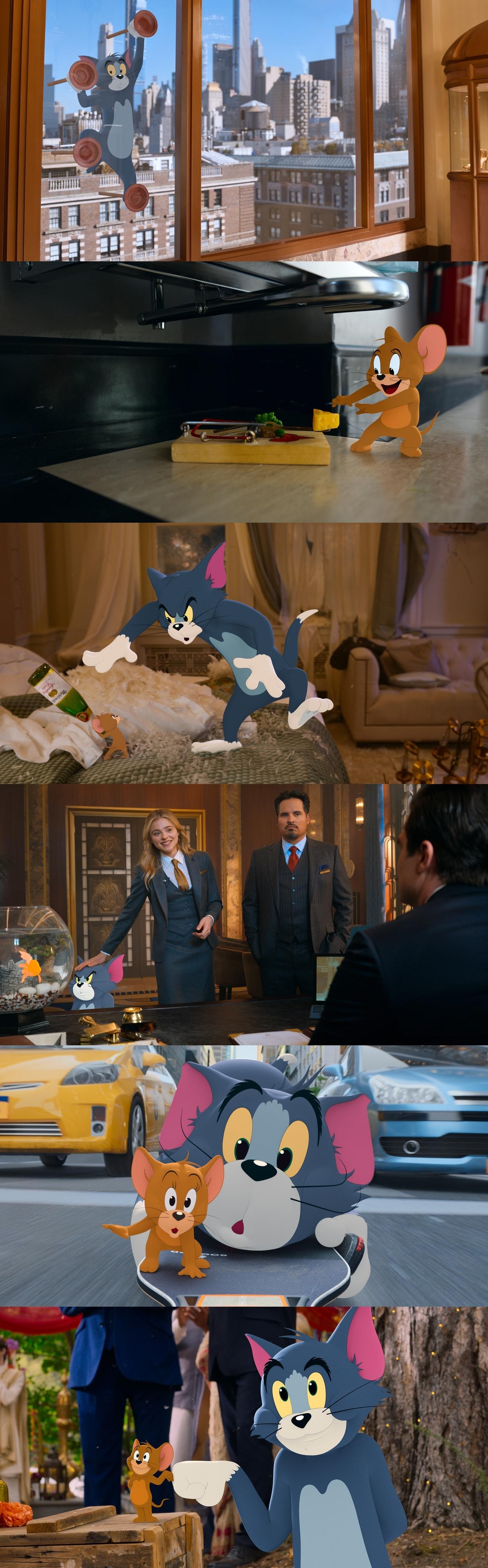 본문 이미지 - 톰과 제리 스틸 ⓒ 뉴스1