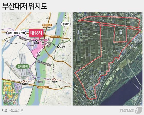 본문 이미지 - ⓒ News1 이은현 디자이너