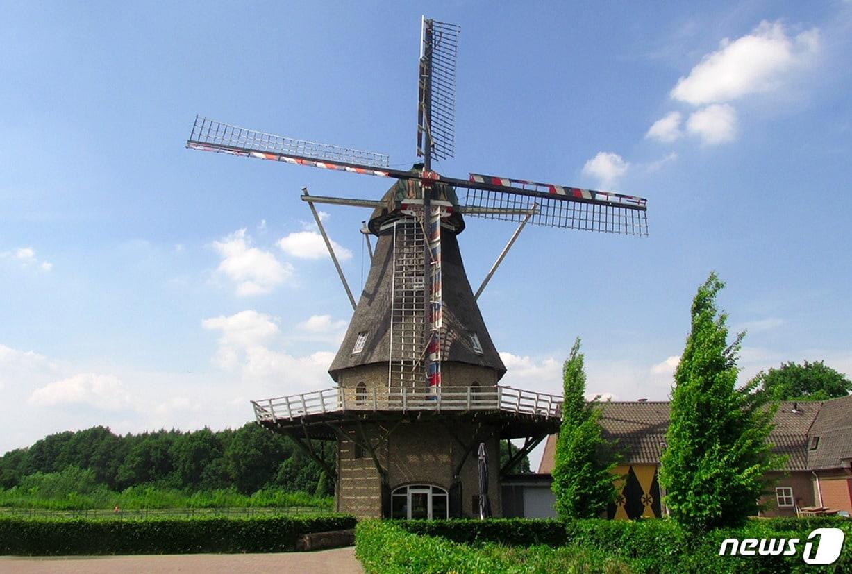 본문 이미지 - 네덜란드 남부 브라반트의 작은 도시 우얼르(Oerle)에 위치한 신트 얀( Sint Jan) 풍차의 모습. 코로나 봉쇄 이전에는 동네 주민들에게 맛난 빵과 음료를 판매하는 식당으로도 인기가 높았다. ⓒ 차현정 통신원