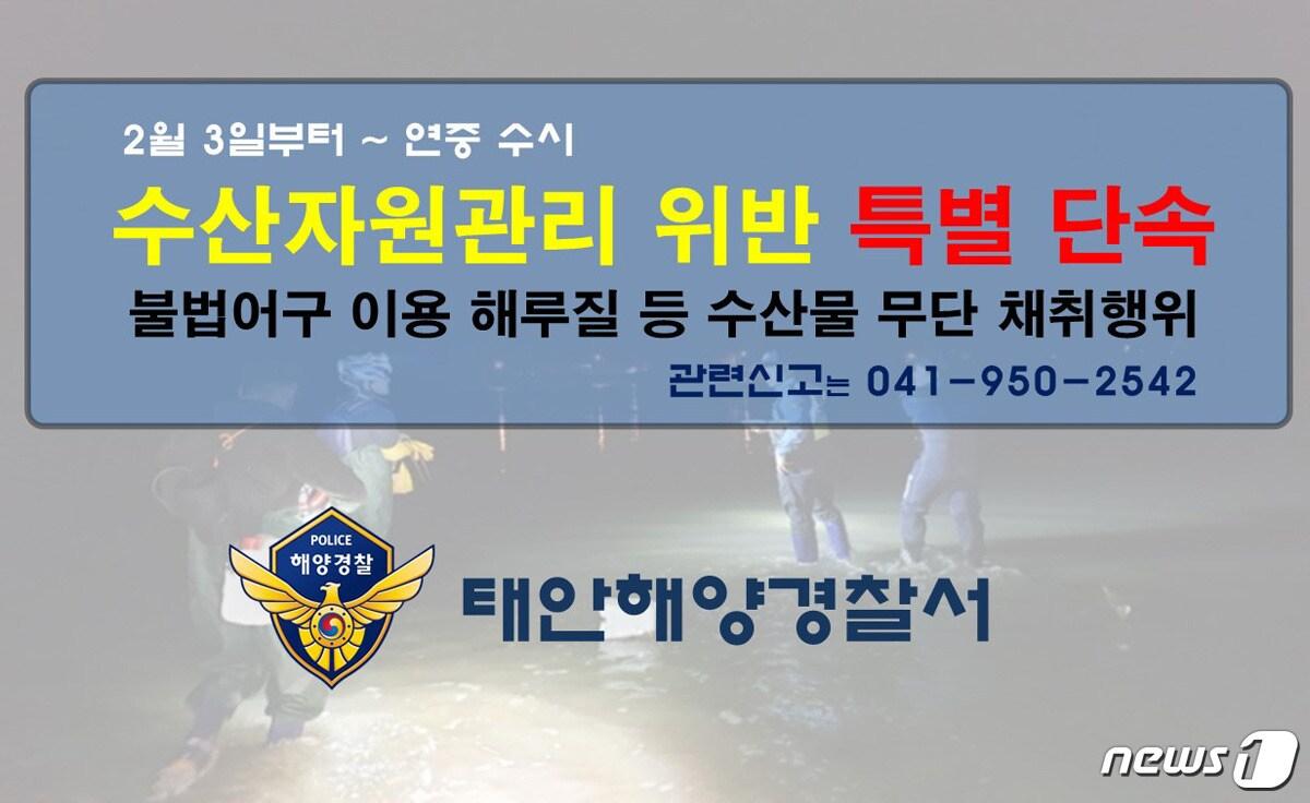 본문 이미지 - 태안해양경찰서는 3일부터 불법어구를 이용한 해루질 등 수산물 무단 채취행위에 대한 특별단속에 들어간다.ⓒ 뉴스1