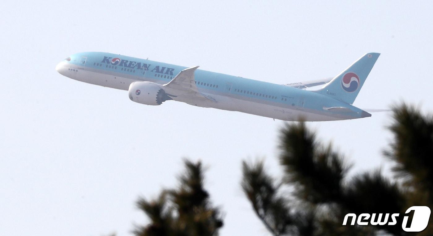 본문 이미지 - 대한항공 항공기(자료사진)ⓒ News1 