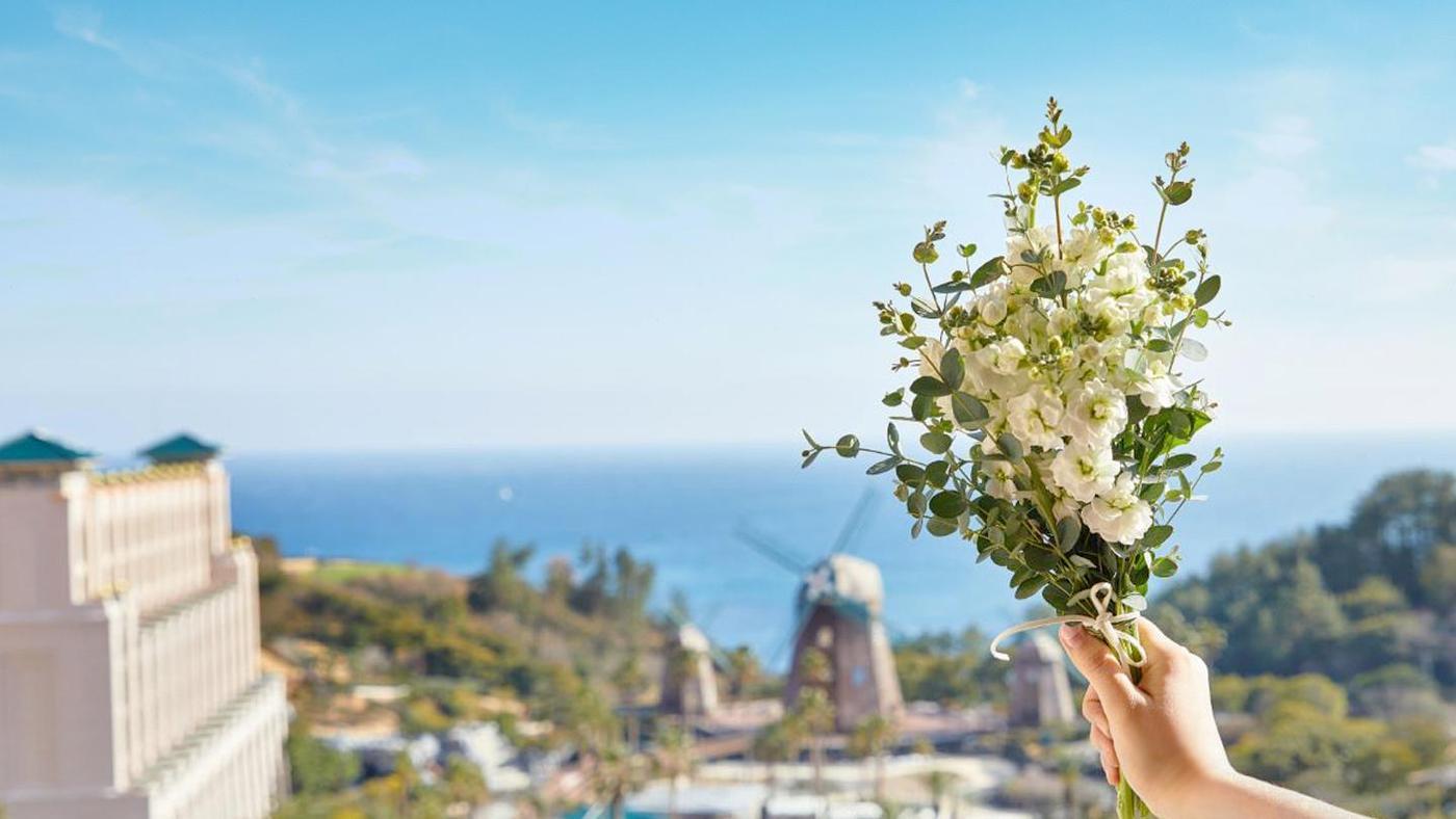 롯데호텔 제주 '봄' 패키지ⓒ 뉴스1