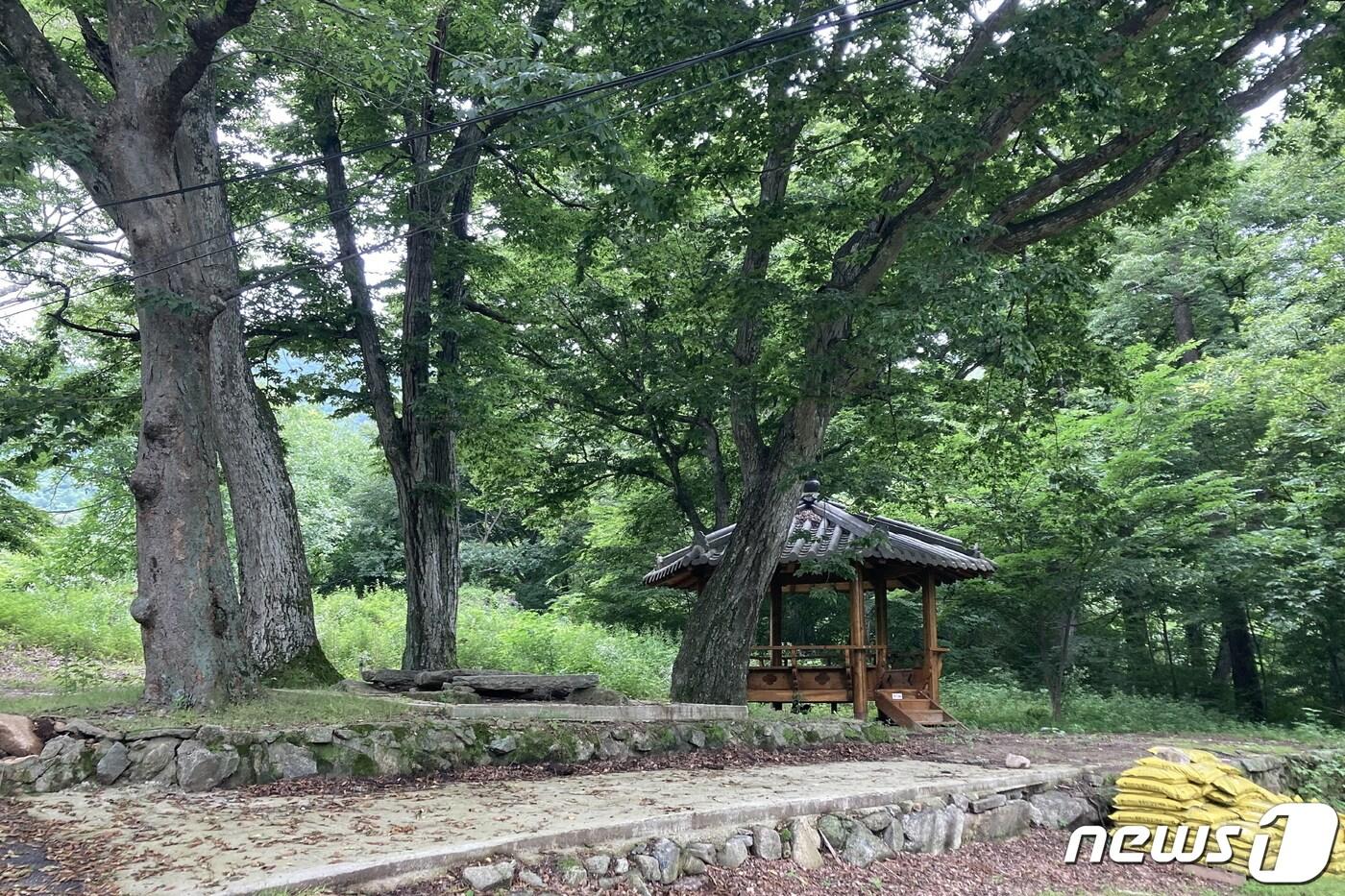 본문 이미지 - 전북 무주군이 '도시숲 조성사업'을 추진한다.(무주군제공)2021.2.8/뉴스1