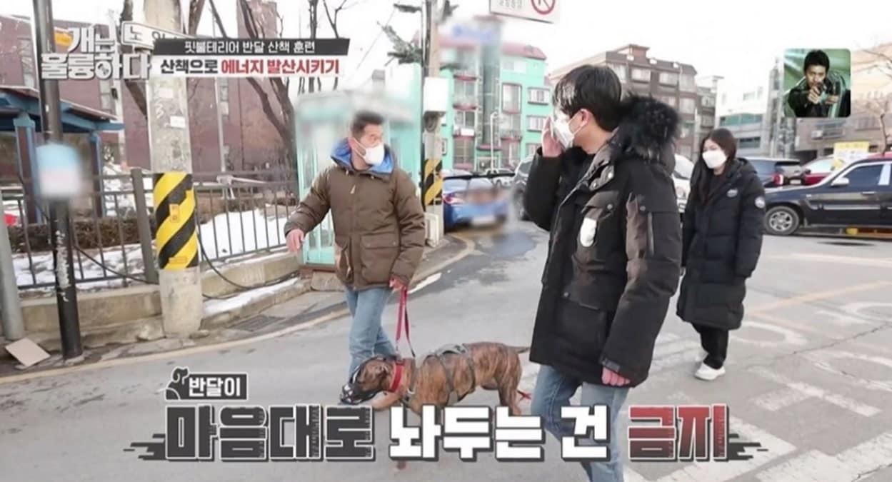 본문 이미지 - 사진 개는 훌륭하다 제공 ⓒ 뉴스1