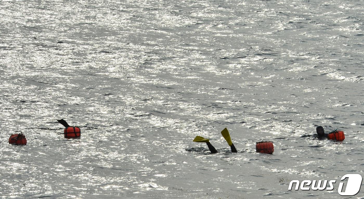 (사진은 기사 내용과 무관함) / 뉴스1 ⓒ News1