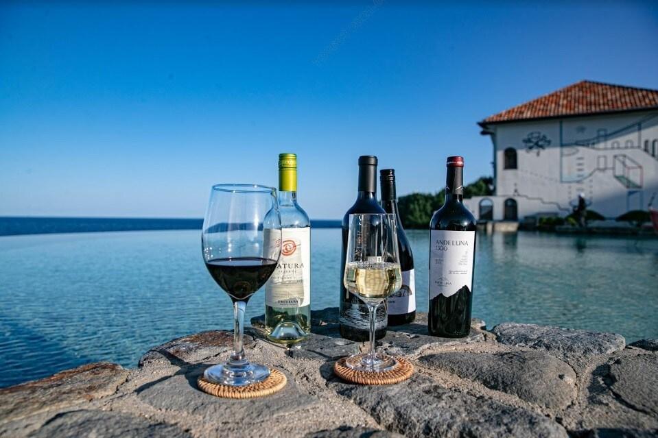 본문 이미지 - 소노 와이너리 투어ⓒ 뉴스1