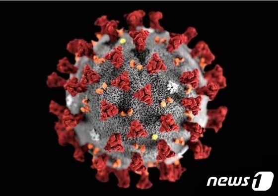 본문 이미지 - 코로나19 ⓒ 뉴스1