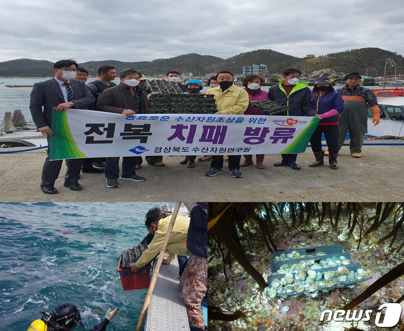 본문 이미지 - 경북도 수산자원연구원이 19일부터 포항 등 도내 5개 시군 마을어장에 어린전복 50만 마리를 방류하고 있다고 밝혔다.  사진은 방류가 이뤄지고 있는 포항시 남구 장기면 신창리 앞 마을어장 현장.(경북도수산자원연구원제공)2021.3.19 / ⓒ 뉴스1