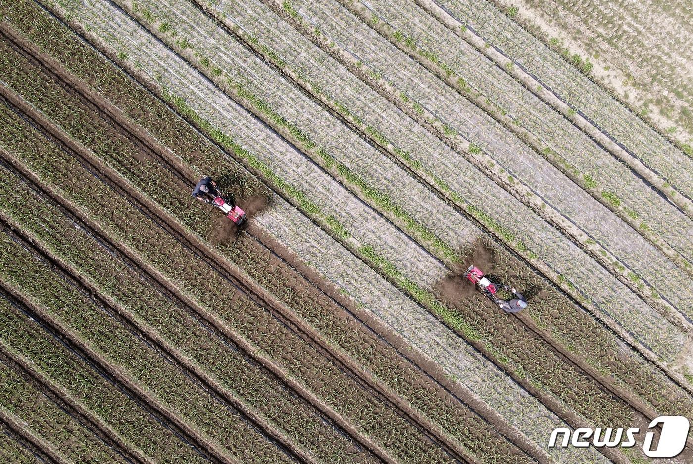 본문 이미지 - 19일 오후 충남 공주 들녘에서 농민이 밭고랑을 갈며 농사 준비를 하고 있다. 2021.3.19/뉴스1 ⓒ News1 김기태 기자