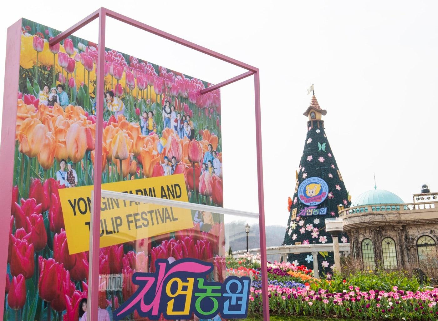 본문 이미지 - 에버랜드,  자연농원 오마주 가든ⓒ 뉴스1