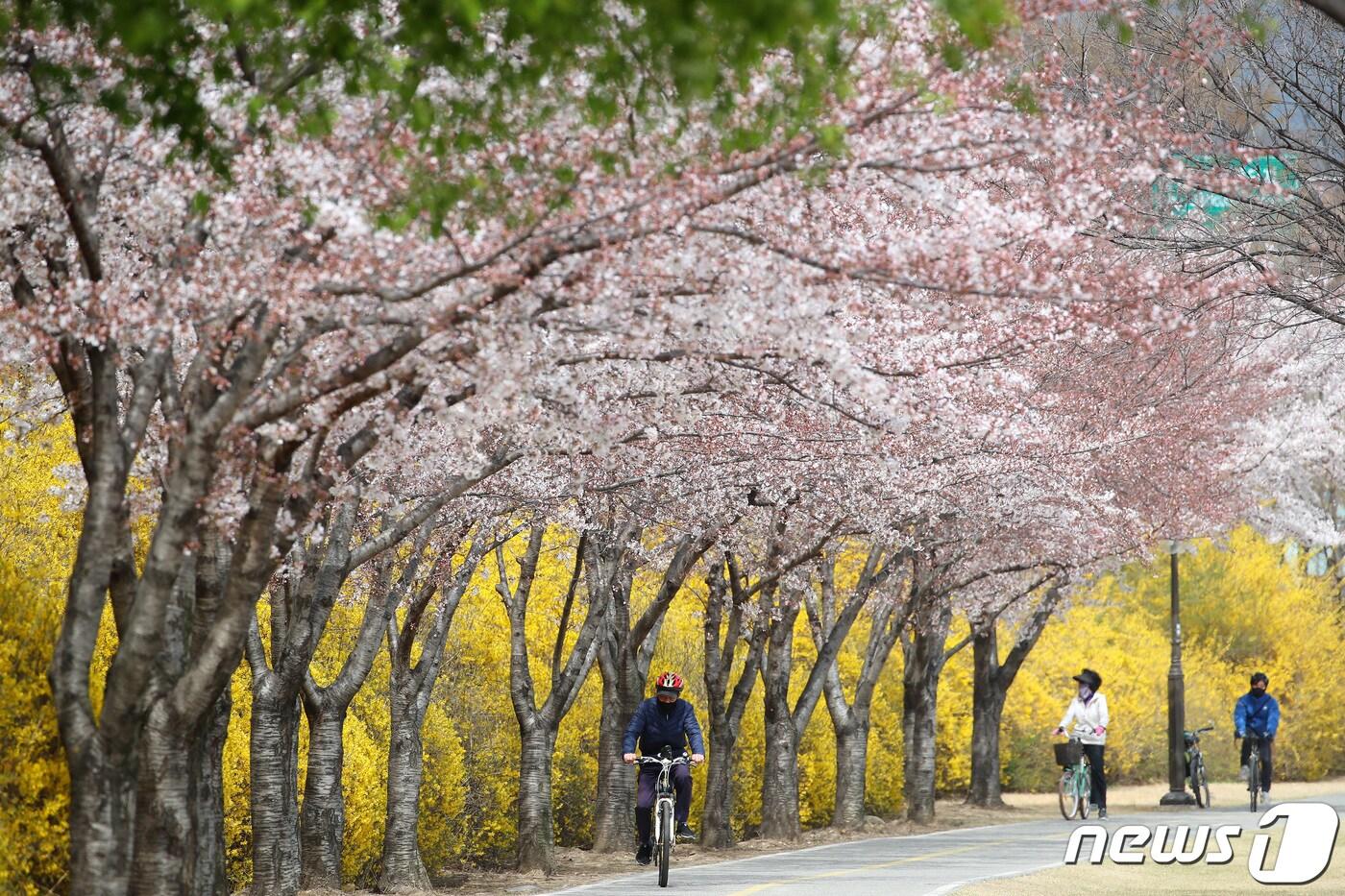 대구시는 19일 민선8기 핵심 과제 중 하나인 신천 수변공원화 사업을 통해 신천을 도심생태공간으로 조성한다고 밝혔다. 사진은 2021년 3월 신천 둔치에서 시민들이 여가를 즐기는 모습. 2021.3.24/뉴스1 ⓒ News1 공정식 기자