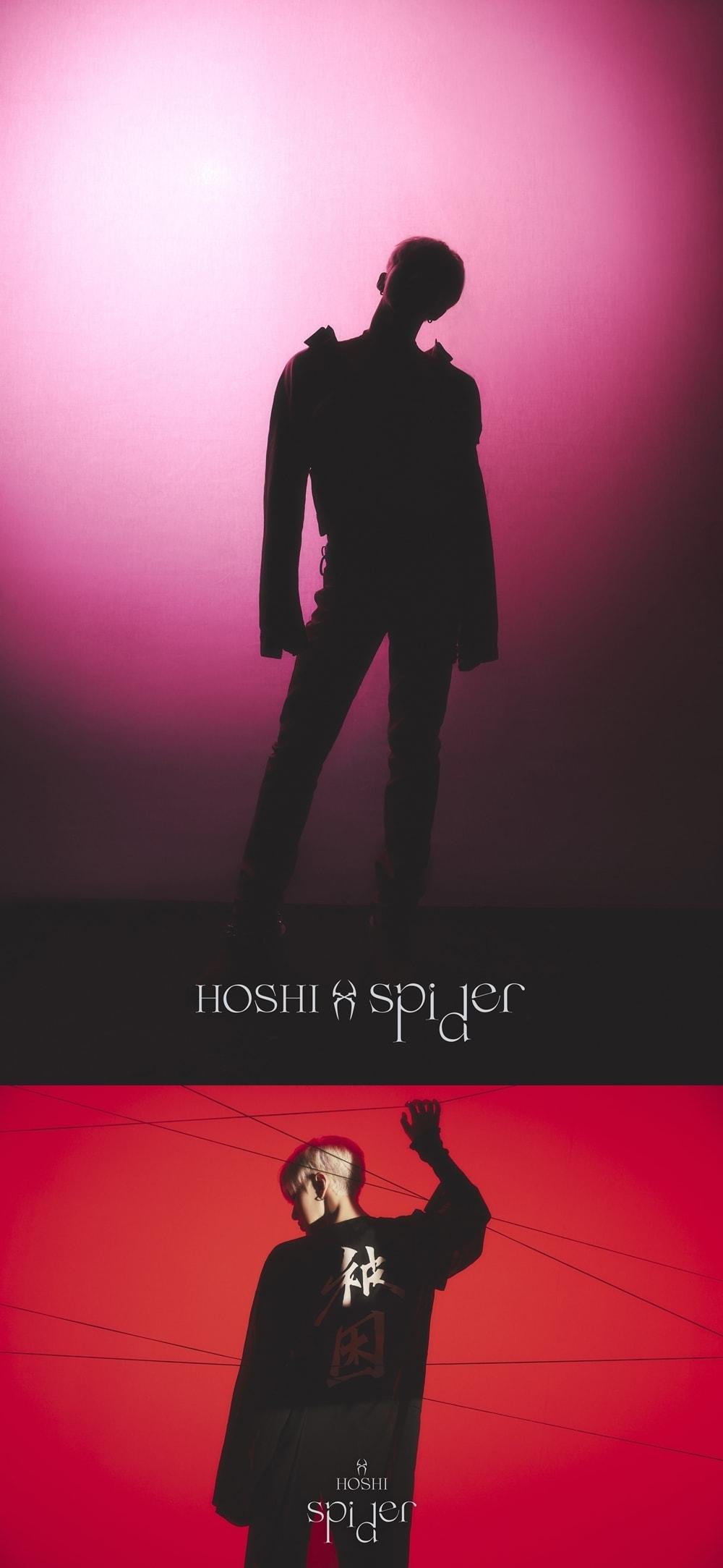 본문 이미지 - 세븐틴 호시/플레디스엔터테이먼트 제공 ⓒ 뉴스1