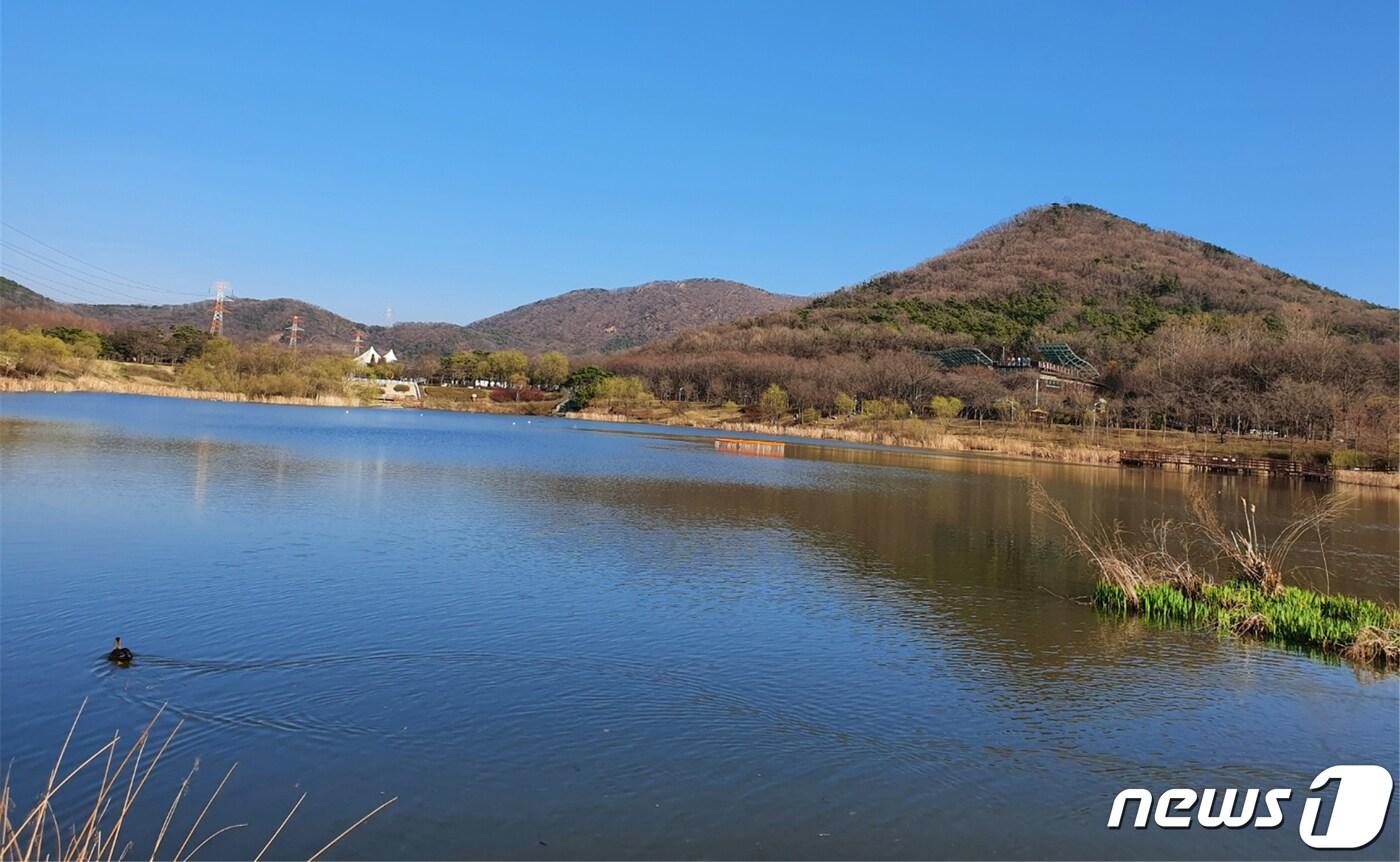 수질개선사업을 완료한 인천대공원 호수.(인천대공원 제공)ⓒ 뉴스1
