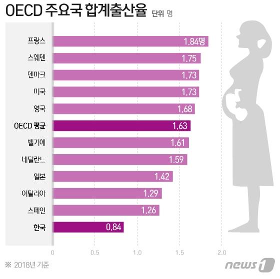본문 이미지 - ⓒ News1 이지원 디자이너