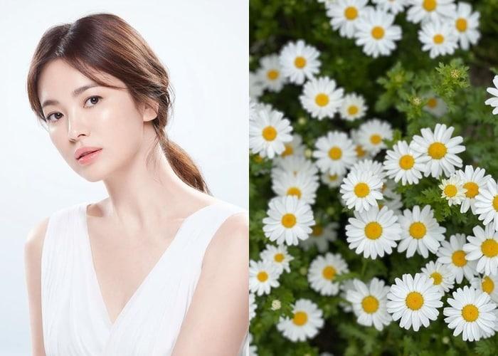 본문 이미지 - 송혜교 SNS 갈무리 ⓒ 뉴스1