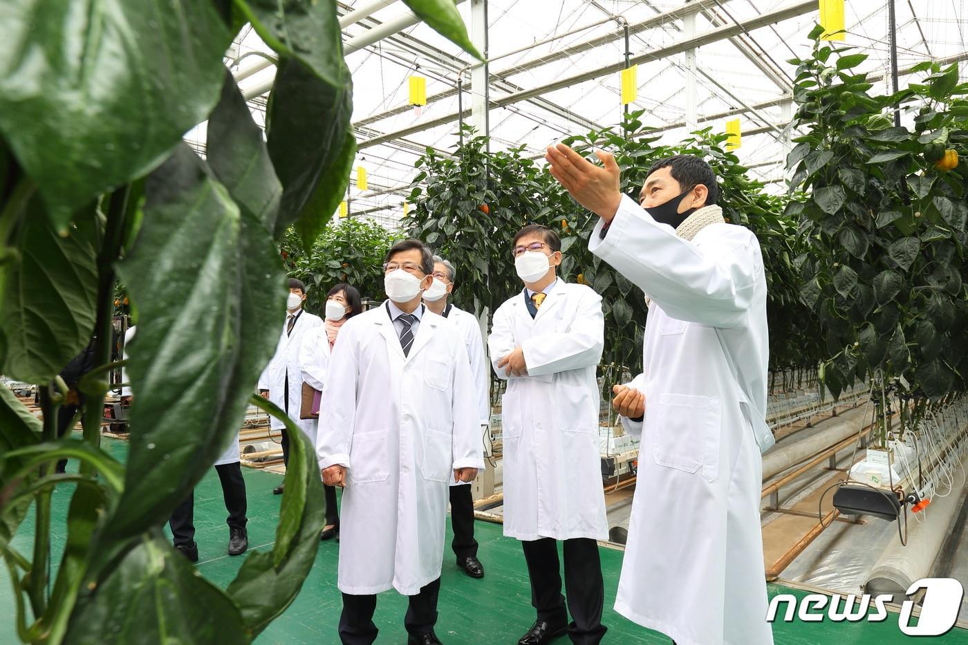 청주시는 &#39;2025년도 시설원예분야 국비지원사업 예비사업자 신청&#39;을 농지 읍면동 행정복지센터에서 받는다고 25일 밝혔다.&#40;사진은 기사와 무관함&#41;/뉴스1